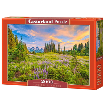 CASTORLAND Puzzle układanka 2000 elementów Blossoms of Morning - Krajobraz 92x68cm