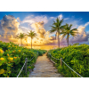 CASTORLAND Puzzle układanka 3000 elementów Colorful Sunrise in Miami, USA - Wschód Słońca w Miami 92x68cm