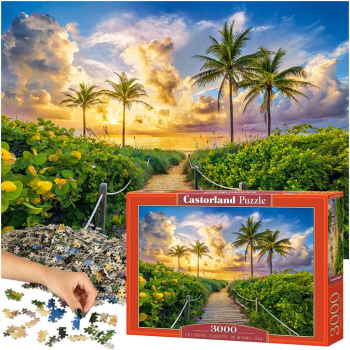 CASTORLAND Puzzle układanka 3000 elementów Colorful Sunrise in Miami, USA - Wschód Słońca w Miami 92x68cm