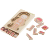 Puzzle drewniane warstwowe budowa ciała montessori dziewczynka