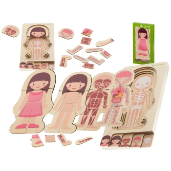 Puzzle drewniane warstwowe budowa ciała montessori dziewczynka