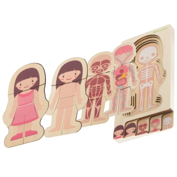 Puzzle drewniane warstwowe budowa ciała montessori dziewczynka