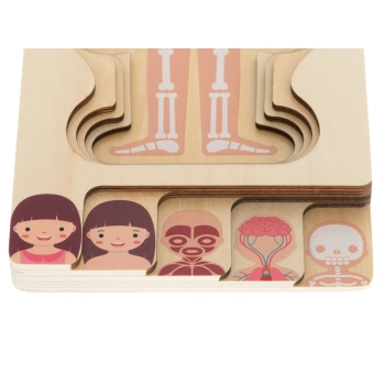 Puzzle drewniane warstwowe budowa ciała montessori dziewczynka