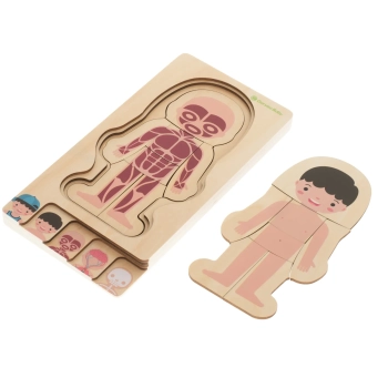 Puzzle drewniane warstwowe budowa ciała montessori chłopiec