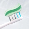 Colgate Dentagard Ziołowa Pasta do Zębów 75 ml