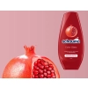 Schauma Color Glanz Odżywka do Włosów 250 ml DE