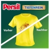 Persil Color Proszek do Prania 50 prań DE
