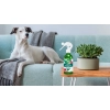 Air Wick Eucalyptus & Freesia Neutralizator Zapachu 237 ml