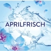Lenor Aprilfrisch Płyn do Płukania 36 prań