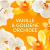 Lenor Goldene Orchidee Płyn do Płukania 59 prań