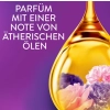 Lenor Blütentraum Płyn do Płukania 59 prań