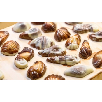 MaitreTruffout Praliny Belgijskie Muszle Morskie 50 g