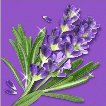 Mr.Propre Lavendel & Rozemarijn Spray Multifunkcyjny 800 ml