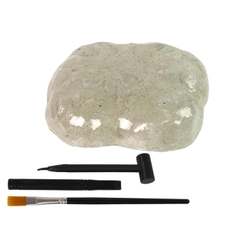 Zestaw Wykopaliska Dinozaur Spinozaur Szkielet