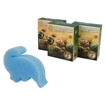 Zestaw Wykopaliska Skorupy Muszle Trzy Modele Niespodzianka