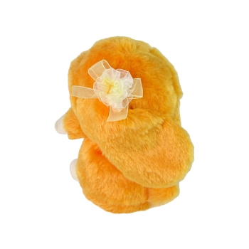 Tańczący Królik Powtarza Dźwięki Muzyka Pomarańcz