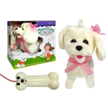 Biały Pies Pudel Na Smyczy Pilot Kość