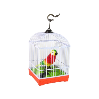 Śpiewająca Kolorowa Papuga Z Klatką