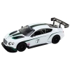 Auto Sportowe RC 1:14 Bentley Continental GT3 Biały