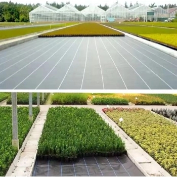 Agrotkanina Czarna 1,1x50m UV 135g Antychwastowa Agrowłóknina + Kotwy