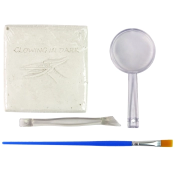 Zestaw Archeologiczny Wykopaliska Dinozaur Szkielet Pteranodon