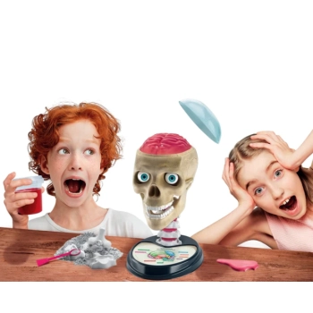 Naukowa Zabawa Zestaw Zwariowana Anatomia Język Polski Clementoni 50697