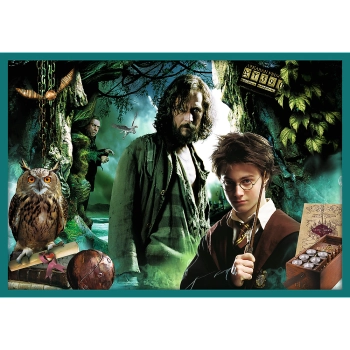 Puzzle - 10w1 - Harry Potter - W świecie Harrego Pottera - Trefl 90392