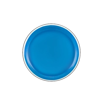 Dysk Latający Frisbee z Dinozaurem Niebieski 20 Cm