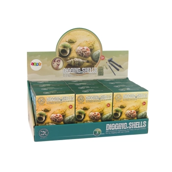 Zestaw Wykopaliska Skorupy Muszle Trzy Modele Niespodzianka