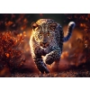 Puzzle - 1000 Premium Plus - Photo Odyssey: Dziki Leopard - Trefl 10818