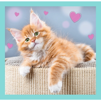 Puzzle - 3w1 (20, 36, 50) - Słodkie zwierzaki - Trefl 34862