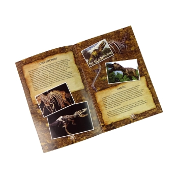 Zestaw Edukacyjny Wykopaliska Dinozaur Tyranozaur