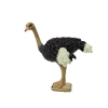 Figurka kolekcjonerska Struś Seria Zwierzęta Świata
