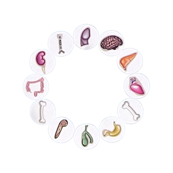 Gra Zręcznościowa Szalony Doktor Operacja Plansza