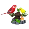 Śpiewające Ruchome Papużki Drzewo Kolorowe