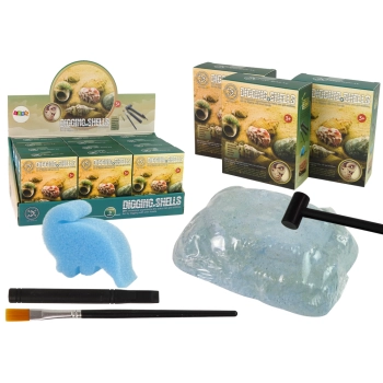 Zestaw Wykopaliska Skorupy Muszle Trzy Modele Niespodzianka