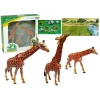Żyrafy Figurki Edukacyjne Rodzina 3 sztuki + Tło Afryka
