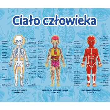 Gra dla dzieci Ciało człowieka Mistrz Wiedzy Trefl 01957