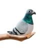 Maskotka Pluszowy Gołąb Grzywacz Szary 20cm