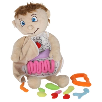 Lalka maskotka nauka anatomii chłopiec