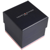 Zegarek Męski Tommy Hilfiger Daniel 1710416