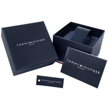 Zegarek Męski Tommy Hilfiger Bruce 1710670 + BOX