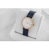 Zegarek Damski Skagen Signatur SKW2838 + BOX
