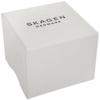 Zegarek Męski Skagen Signatur SKW6902 + BOX