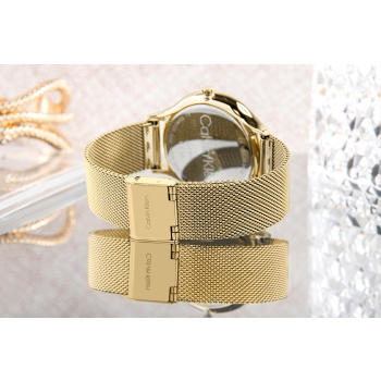 Zegarek Damski CALVIN KLEIN Timeless Mesh 25200003 + BOX