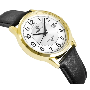 Zegarek Męski PERFECT C710T-09