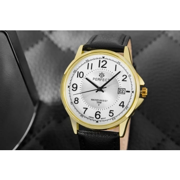 Zegarek Męski PERFECT C710T-09
