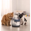 Poidełko fontanna dla psa kota zwierząt automatyczne poidło USB 1,8l filtr czyszczący