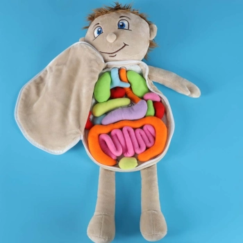 Lalka maskotka nauka anatomii chłopiec