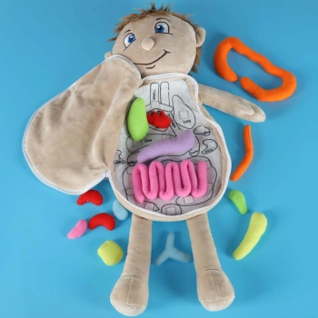 Lalka maskotka nauka anatomii chłopiec